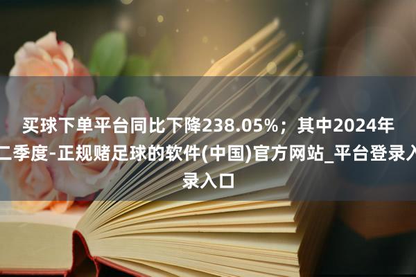 买球下单平台同比下降238.05%；其中2024年第二季度-正规赌足球的软件(中国)官方网站_平台登录入口