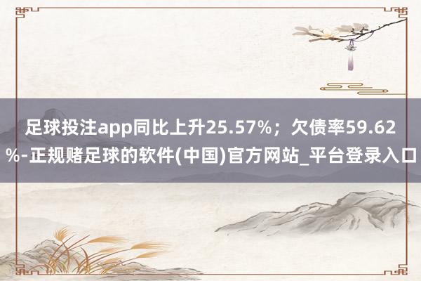 足球投注app同比上升25.57%；欠债率59.62%-正规赌足球的软件(中国)官方网站_平台登录入口