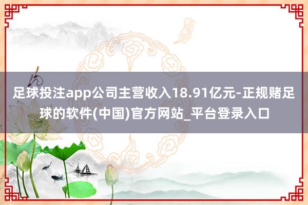 足球投注app公司主营收入18.91亿元-正规赌足球的软件(中国)官方网站_平台登录入口