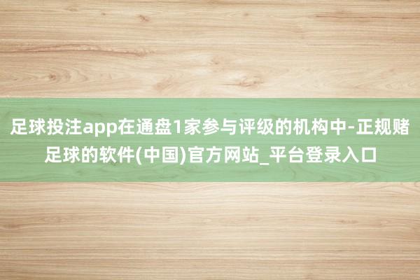 足球投注app在通盘1家参与评级的机构中-正规赌足球的软件(中国)官方网站_平台登录入口